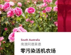 澳洲高端美妝品牌Jurlique茱莉蔻，成功入駐圣悅詩國際連鎖系統(tǒng)